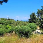 Buildable plot with distant sea views in Apergatika, Paxos