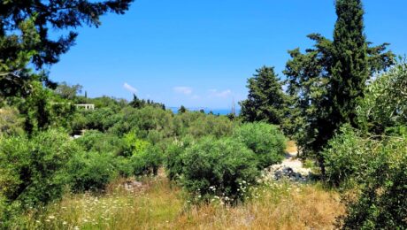 Buildable plot with distant sea views in Apergatika, Paxos