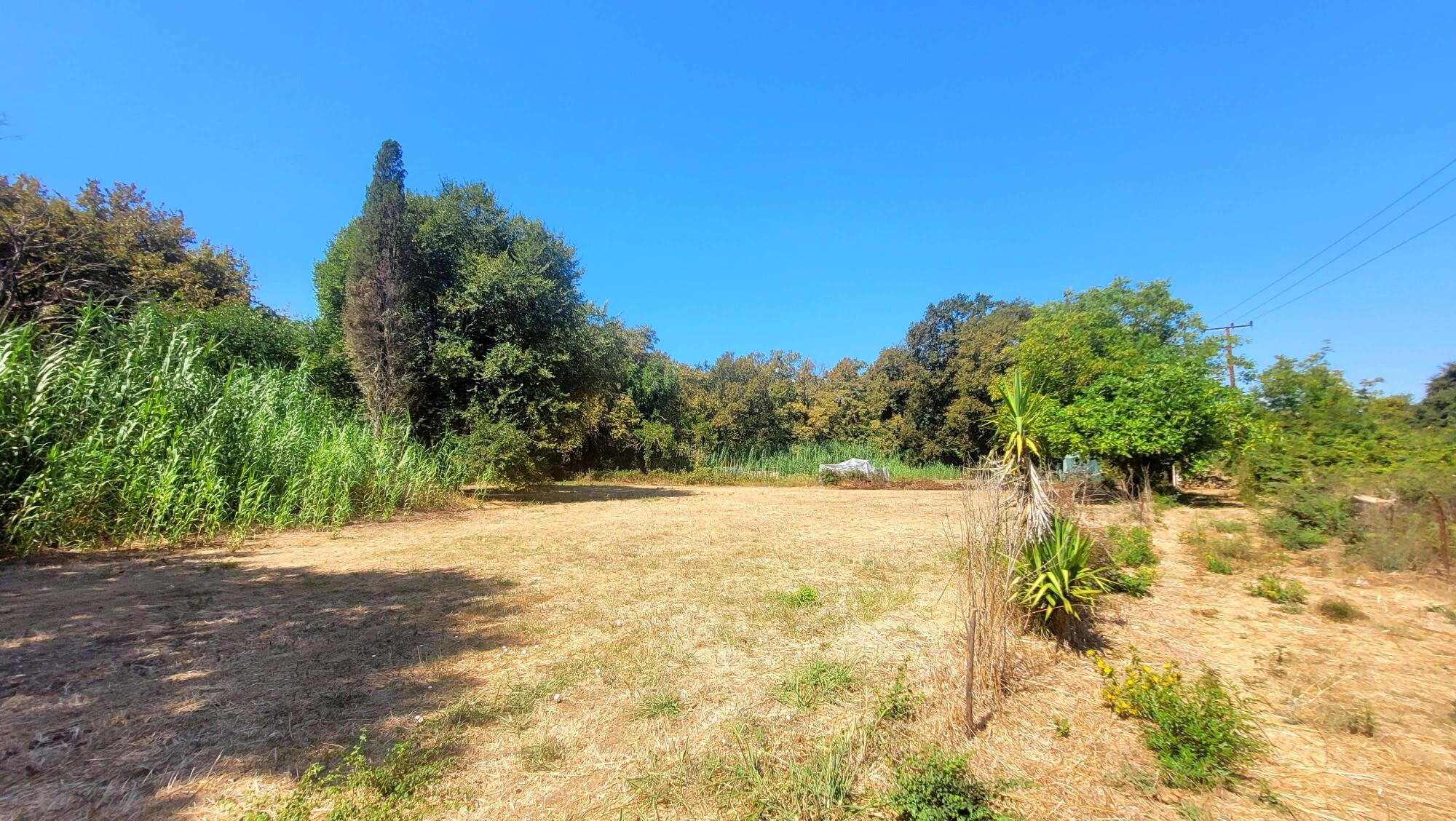 4261 sqm land near Alepou main road in Corfu