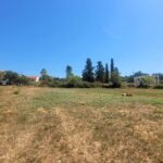 Land for rent suitable for parking or storage in Corfu