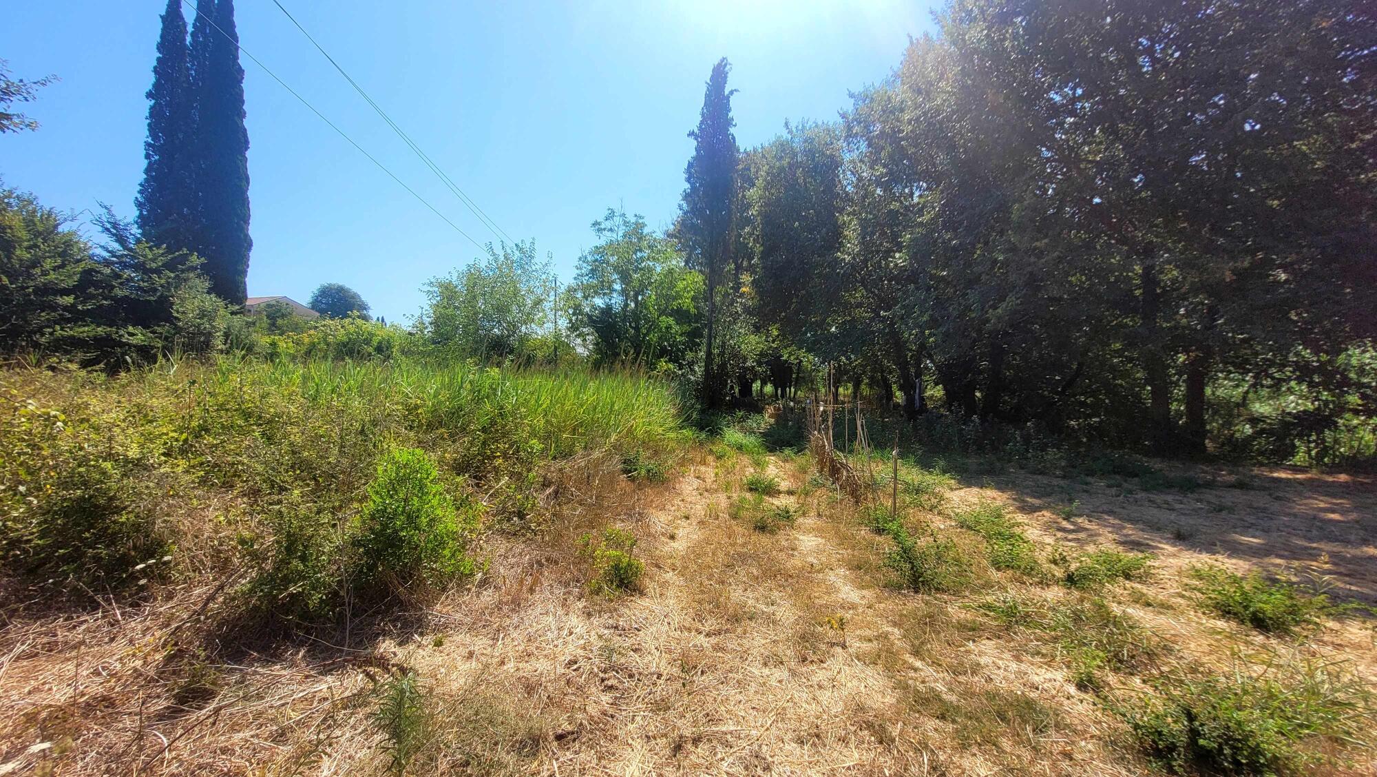 Commercial land near Corfu Town and airport for rent