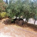 Buildable section of a plot for sale in Stavros, Corfu