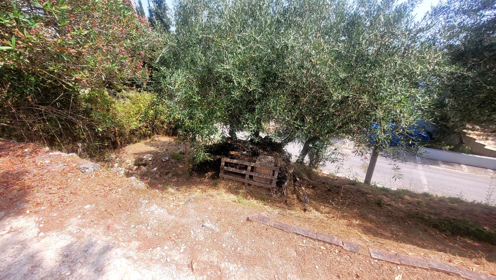 Buildable section of a plot for sale in Stavros, Corfu
