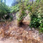 Land for sale in Stavros Corfu with nearby utility connections