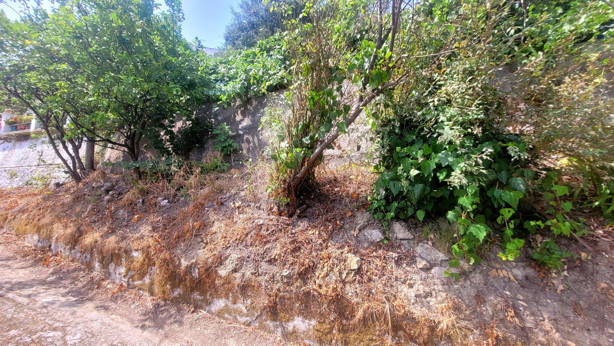Land for sale in Stavros Corfu with nearby utility connections